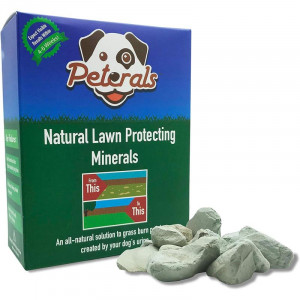 10PET01